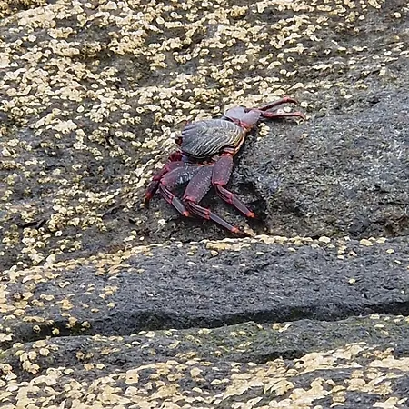 Puertillobeachfront Serenity