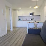 Puertillobeachfront Serenity